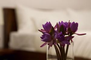Fotografie z fotogalerie ubytování Maho Boutique Hotel v destinaci Anuradhápura