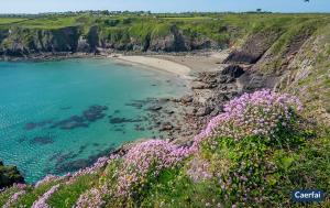 Příroda nedaleko prázdninového domu