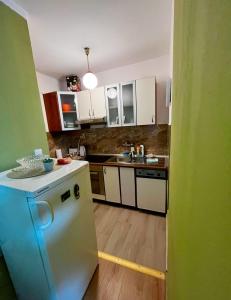 Kuchyň nebo kuchyňský kout v ubytování StudioApartman-DANICA + 8 fotografií