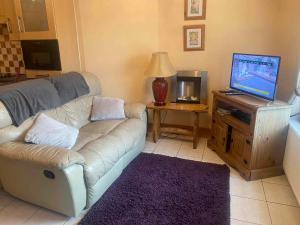 a living room with a couch and a television at Ann & Andy in Kilkee