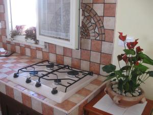 a stove top in a kitchen with a potted plant at VALDERICE VACANZE biker's friend in Valderice