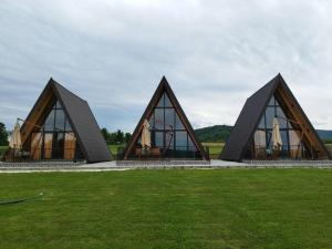 a building with three triangular roofs on a grass field at Apartman Vučković in Žune