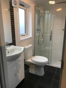 a bathroom with a toilet and a sink and a shower at de Tabaksschuur in Elst +63 photos