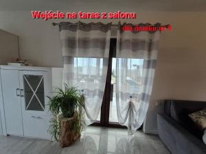 Foto dalla galleria di GOSPODARSTWO TURYSTYCZNE w OSINKACH a Suwałki Altre 25 foto