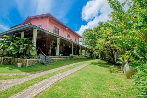 Κήπος έξω από το Serenity Villa