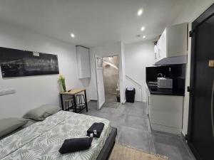 Η κουζίνα ή μικρή κουζίνα στο STUDIO COSY Meulan En Yveline
