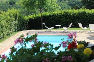 The swimming pool at or close to La Compagnia del Chianti