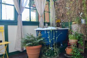 a room with potted plants and a blue tub at Trekker, Treehouses cabins and lodge rooms in Lake George +29 photos