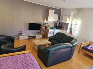 TV a/nebo společenská místnost v ubytování Ferienwohnung Dippoldiswalde