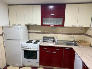 a kitchen with a white refrigerator and a sink at Kalinka Apartment in Bitola +5 photos