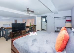TV o dispositivi per l'intrattenimento presso Casa Zun Zun Roatan
