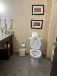 Koupelna v ubytování Comfort Suites Cotulla near I-35