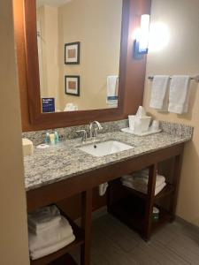 Koupelna v ubytování Comfort Suites Cotulla near I-35