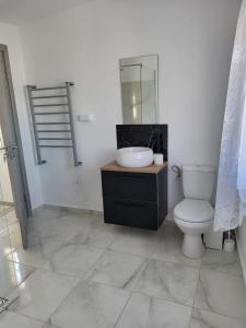 a bathroom with a toilet and a sink and a mirror at Penthouse Marasti in Cluj-Napoca +19 photos