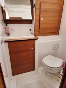 a small bathroom with a toilet and a sink at Adria Yacht Porto Montenegro in Tivat +30 photos