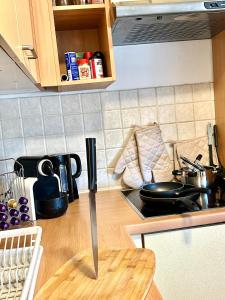 Kuchyň nebo kuchyňský kout v ubytování Quiet Apartment near Airport Vienna #2