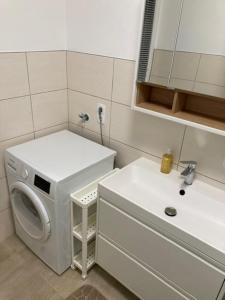 a bathroom with a washing machine and a sink at Apartman Liezen in Liezen +13 photos