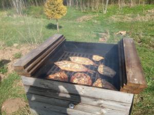 Una parrilla con un montón de rocas. en Sauna&Relax, en Sakstagals 24 fotos más