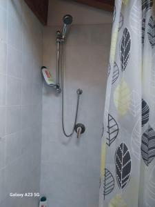 a shower in a bathroom with a shower curtain at La corte dei celti -10 in San Benedetto Del Querceto +41 photos