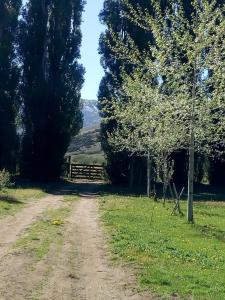 a dirt road in a field with trees and a fence at La señal in Puerta del Diablo