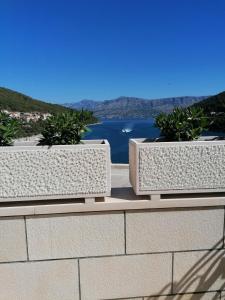 two white planters with plants on top of a wall at Apartman Ružica in Pučišća
