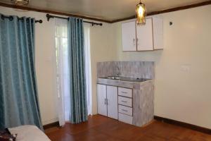 Dapur atau dapur kecil di Red Cedar Tents & Cabin