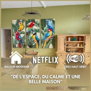 a group of parrots on a wall in a room at Villa Napoléni - Maison - Calme - Jardin - Parking in La Roche-sur-Yon