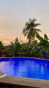 Πισίνα στο ή κοντά στο Ti family nature gite studio location de vacances Guadeloupe - Bas de villa - Piscine partagée