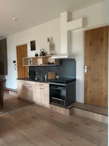 a kitchen with a stove and a sink in it at Onder de paardenkastanje in Empe +11 photos