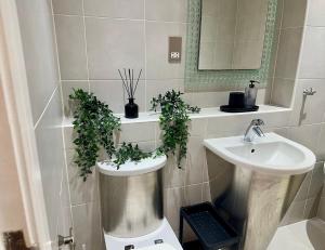 a bathroom with a sink and a toilet with plants on it at Large Double Room in Cardiff City Centre, Room Only with Own Bathroom, HOST LIVES ON SITE in Cardiff
