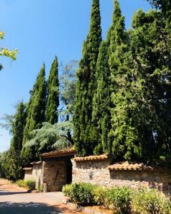 Vonkajšia záhrada v ubytovaní Masia Mimosa Jardin