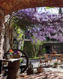 Vonkajšia záhrada v ubytovaní Masia Mimosa Jardin