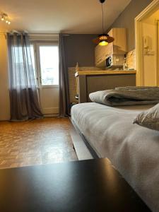 ザグレブにあるSouth Park Apartmentのベッドが2つと窓があるホテルの部屋