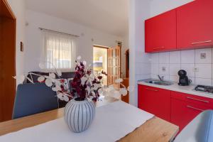 Kuchyň nebo kuchyňský kout v ubytování VILLA LIVIA with three nice apartments, swimming pool, childrens playground, barbecue and free parking