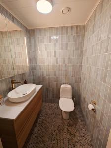 un bagno con un water bianco e un lavandino di Arctic Hideout a Rovaniemi