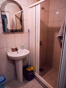 a bathroom with a sink and a shower at Stan Na Dan Stević in Niš +3 photos