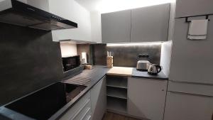 Kuchyňa alebo kuchynka v ubytovaní Apartman Široká