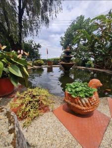 Zahrada ubytování Escapada En La Quinta Esperanza