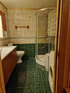 a bathroom with a shower and a toilet and a sink at Comfortable apartment on a farm with parking in Tromsø