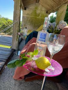 eine Flasche Wein und ein Glas auf einem rosa Teller in der Unterkunft Valfrescosuites&relax in Pontevedra