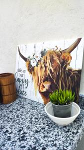 a painting of a cow on a wall next to a plant at Laila's Home in Siwa