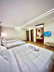 TV a/nebo společenská místnost v ubytování khofo pyramids view inn