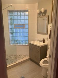 a bathroom with a shower and a sink and a toilet at Dorothy's in Chicago