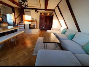 a living room with couches and a table and a fireplace at Cabana Apple Garden Rășinari in Răşinari