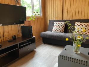 TV a/nebo společenská místnost v ubytování Cabaña container Ensenada