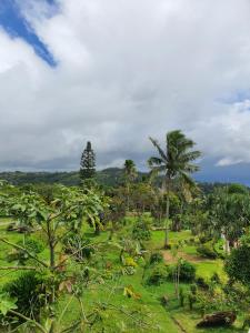 a lush green field with palm trees and grass at Lakeview suites condo in Tagaytay