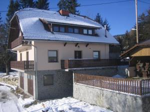 una casa con techo azul en la nieve en Tourist Farm Pačnik, en Resnik