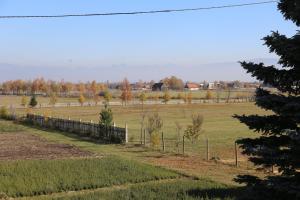 Φωτογραφία από το άλμπουμ του Ezüstfenyő Agroturisztikai Panzió σε Borzont