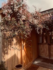 Zahrada ubytování Piccola Casa Fiorita