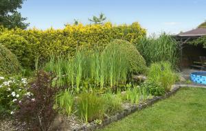 a garden with tall grass and other plants at 4 Bedroom Cozy Home In Mscice in Mścice +19 photos
